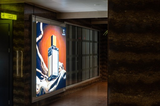 Fashion portrait photography